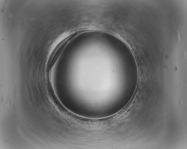 X0000065240008200602171436