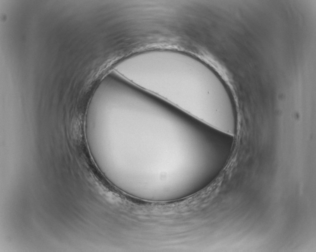 X0000065240009200602171436