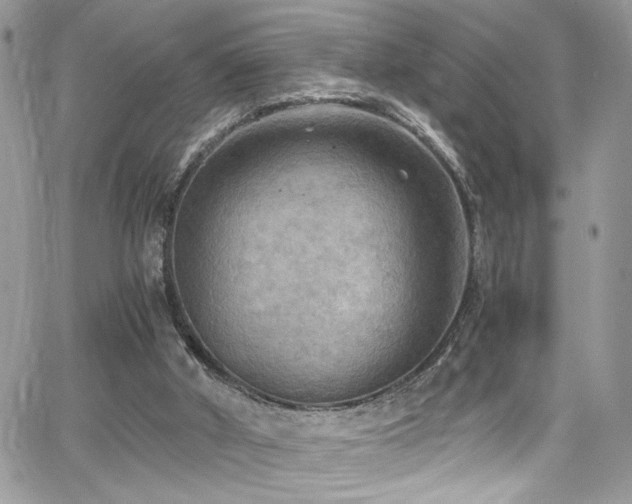 X0000065240010200602171436