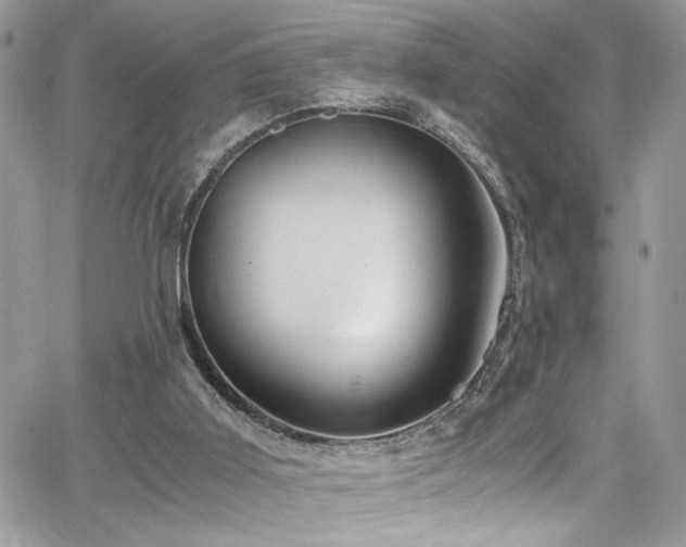 X0000065240011200602171436