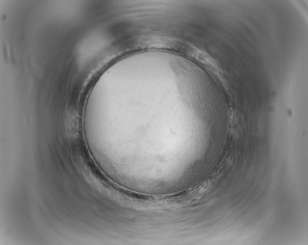 X0000065240012200602171435