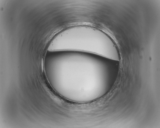 X0000065240013200602171435