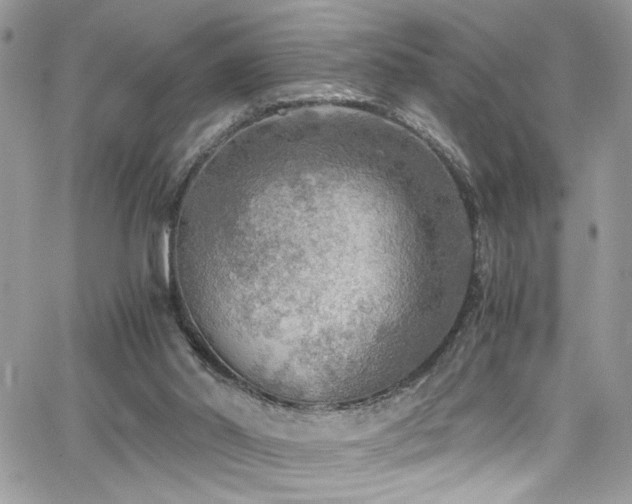 X0000065240014200602171435