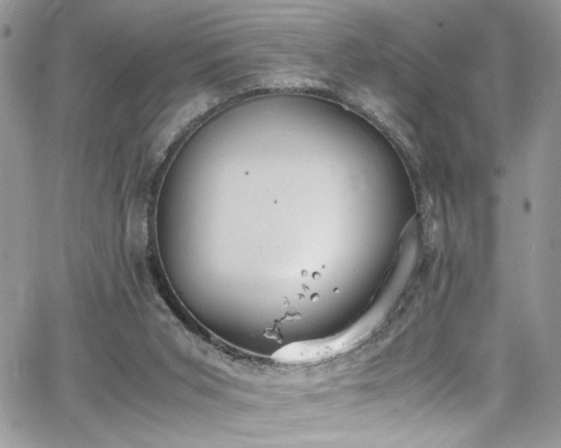 X0000065240015200602171435