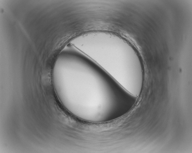 X0000065240017200602171435