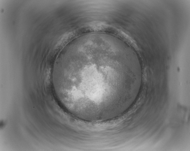 X0000065240018200602171435