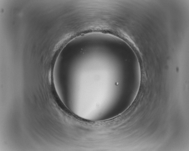 X0000065240019200602171435