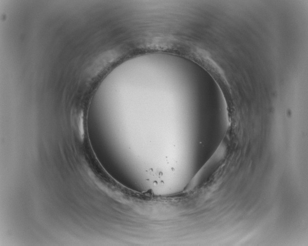 X0000065240020200602171435