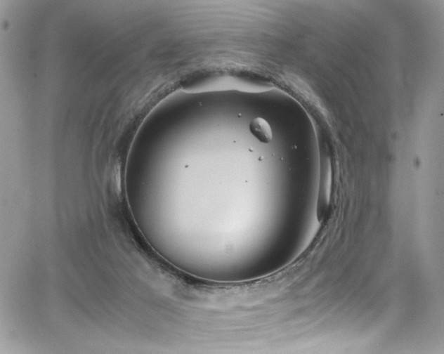 X0000065240021200602171435