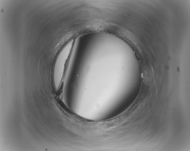 X0000065240023200602171435