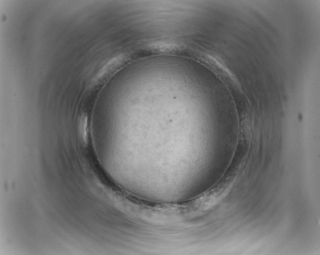 X0000065240024200602171435