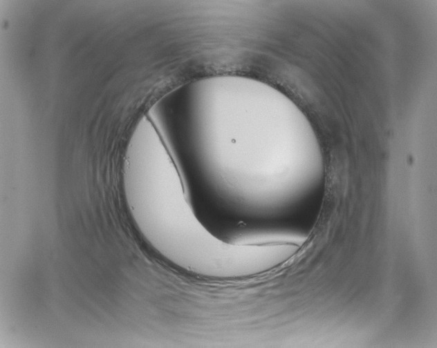 X0000065240025200602171435