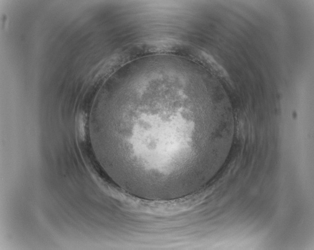 X0000065240026200602171435