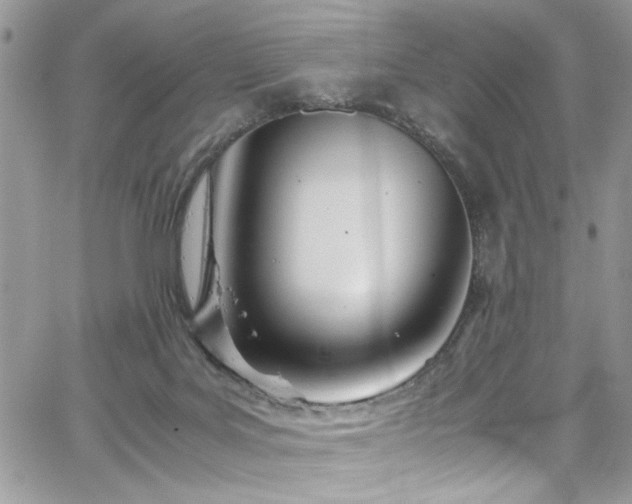 X0000065240027200602171435