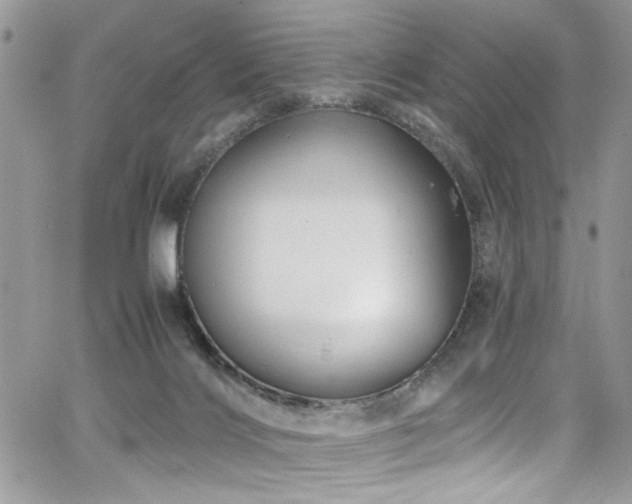 X0000065240028200602171435