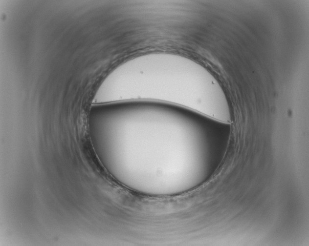 X0000065240029200602171435