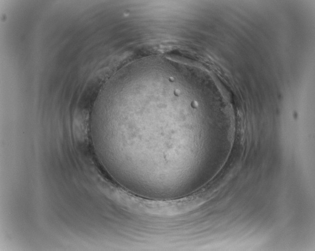 X0000065240030200602171435