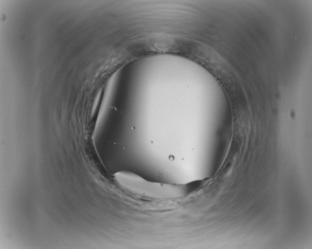 X0000065240031200602171435