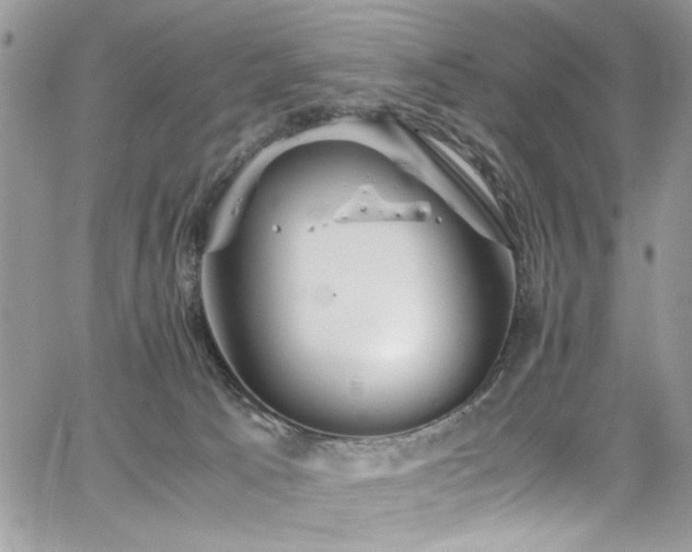 X0000065240033200602171435