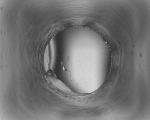 X0000065240035200602171435