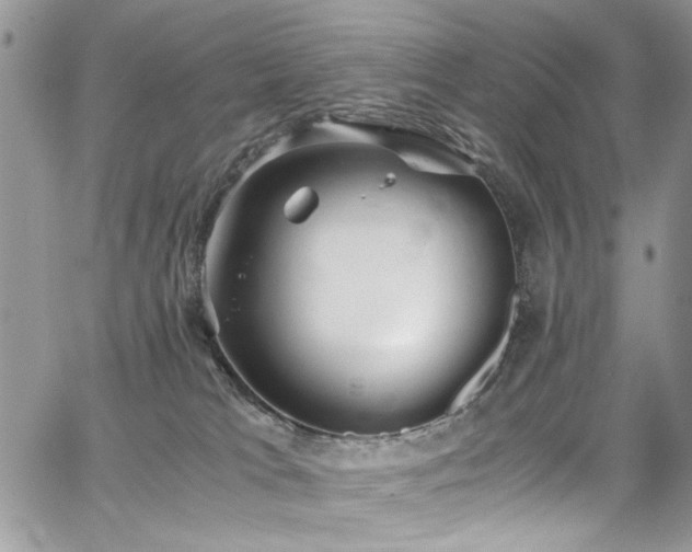 X0000065240037200602171435