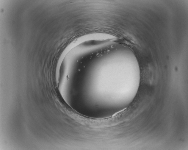 X0000065240039200602171435