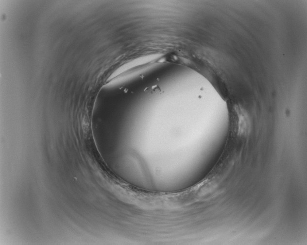 X0000065240040200602171435