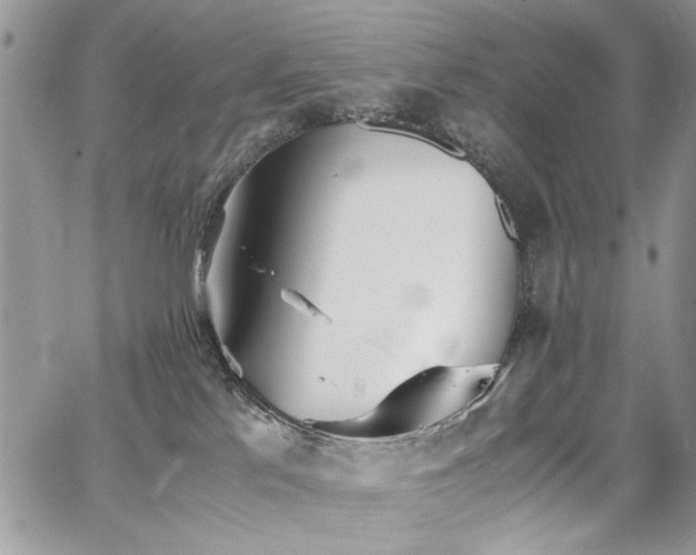 X0000065240041200602171435