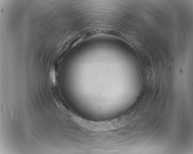 X0000065240042200602171435