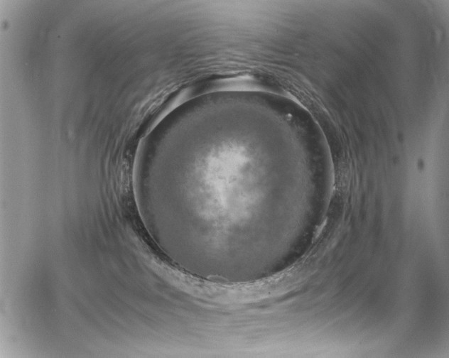 X0000065240043200602171435