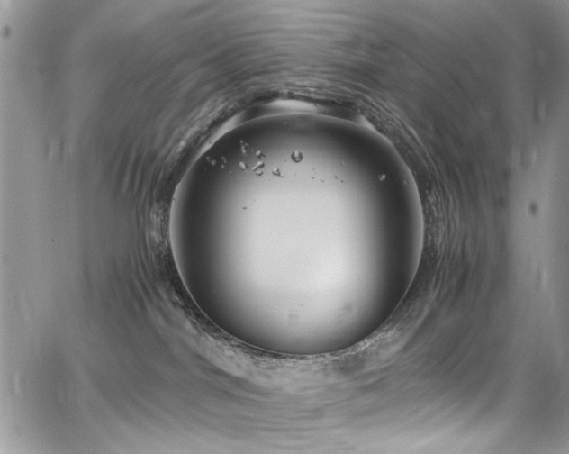 X0000065240044200602171435