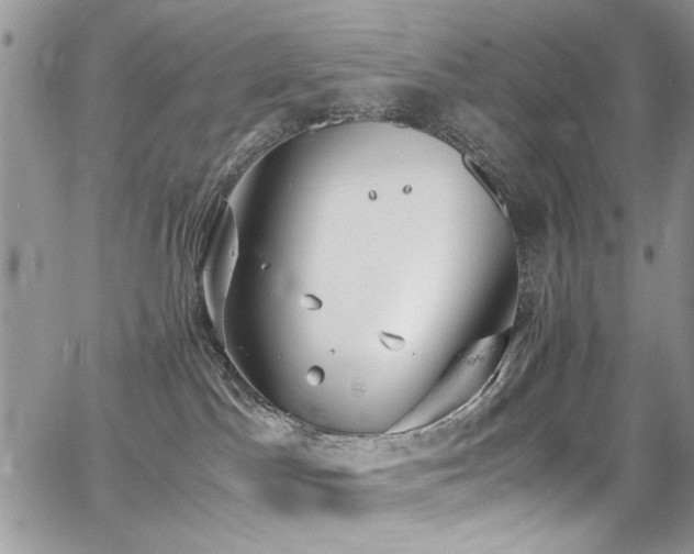 X0000065240045200602171435