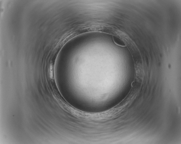 X0000065240046200602171435