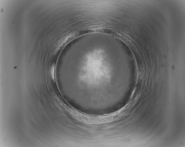 X0000065240047200602171435