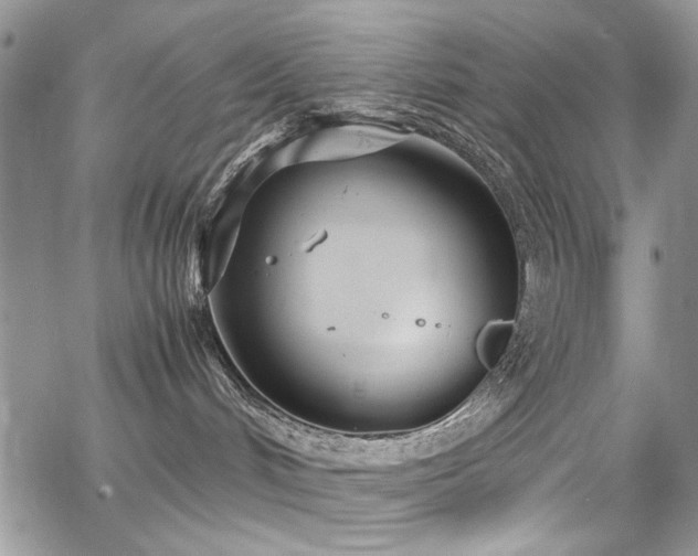 X0000065240048200602171435