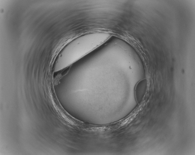 X0000065240049200602171434