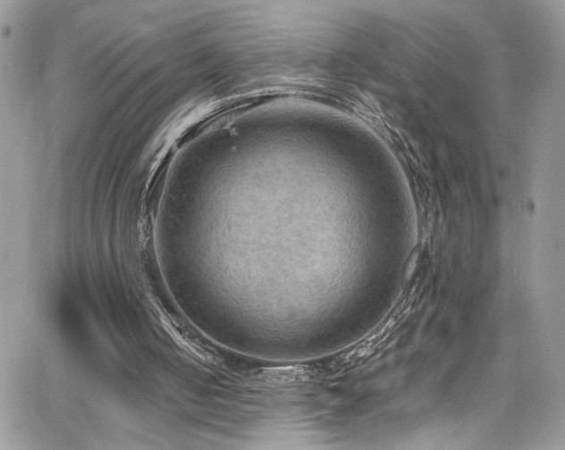 X0000065240050200602171434