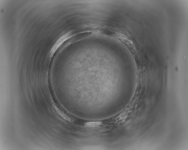 X0000065240051200602171434