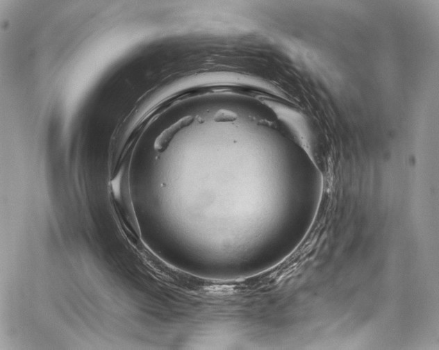 X0000065240052200602171434