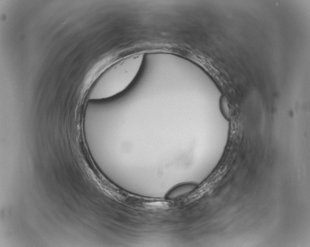 X0000065240053200602171434