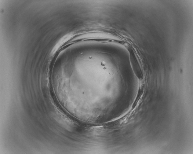 X0000065240054200602171434