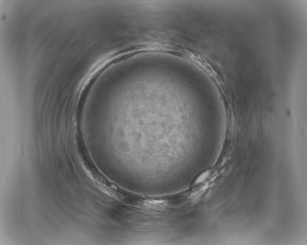 X0000065240055200602171434