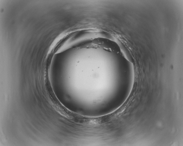 X0000065240056200602171434