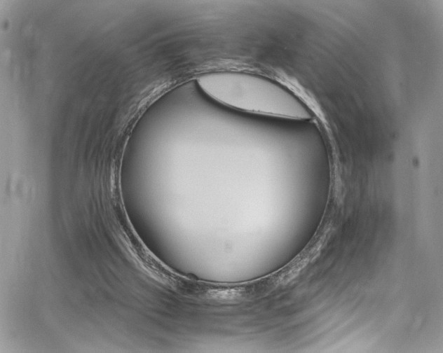 X0000065240057200602171434