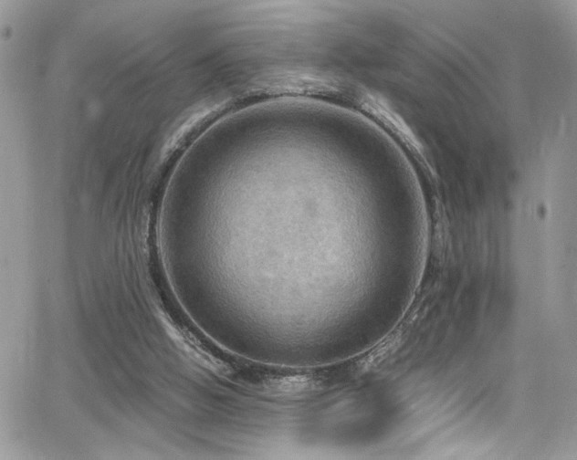 X0000065240058200602171434