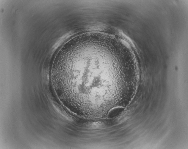 X0000065240059200602171434