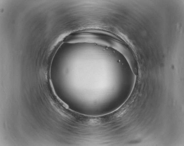 X0000065240060200602171434