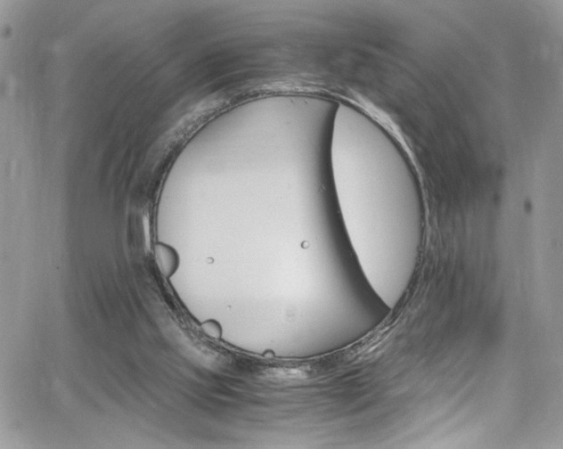 X0000065240061200602171434