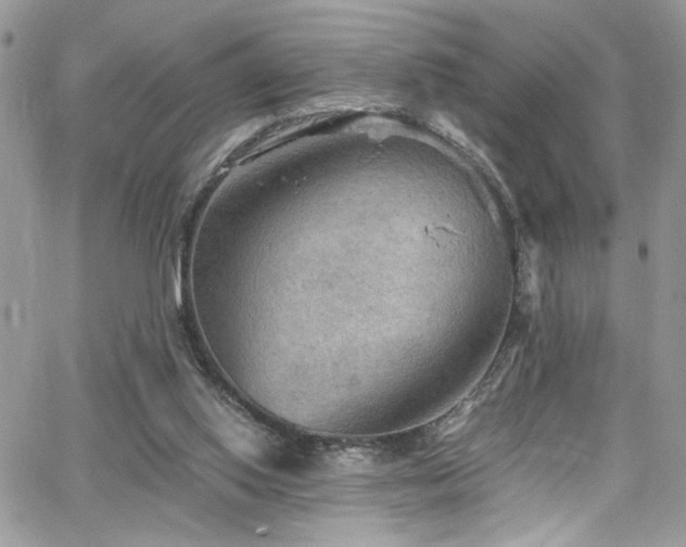 X0000065240062200602171434