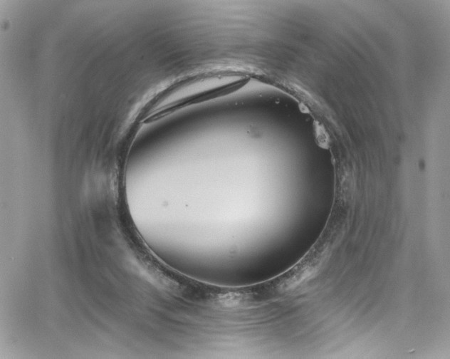 X0000065240064200602171434